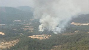 Muğla'da yeni bir yangın çıktı