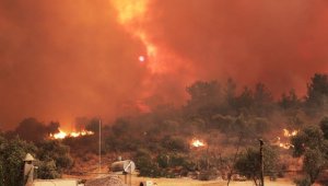 O hesaplara suç duyurusu