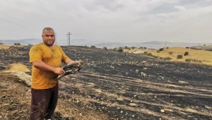 Şahin trafoya çarptı, yangın ormana sıçramadan söndürüldü