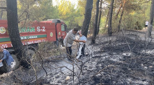 Sarnıç'taki yangın söndürüldü