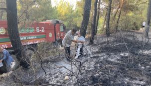 Sarnıç'taki yangın söndürüldü
