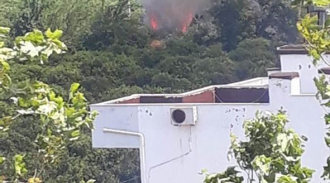 Sazlık alanda çıkan yangın kontrol altına alındı