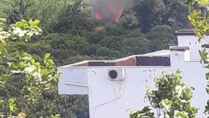 Sazlık alanda çıkan yangın kontrol altına alındı