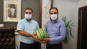 Sıcağın ilacı karpuz