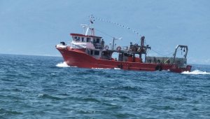 Suni resiflerle balık çeşidi ve sayısı artacak