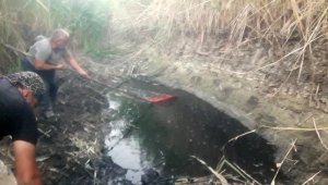 Suyu biten göletten 4 bin balığı kurtardılar