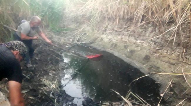 Suyu biten göletten 4 bin balığı kurtardılar