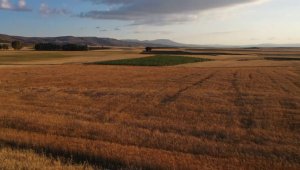 Tarımsal üretimini evde ürettiği bakteriyle ikiye katladı