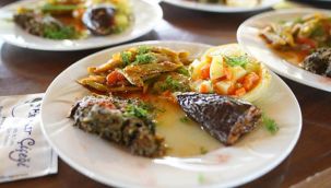 Türkiye'nin En Yeni Gastronomi Eğitimi Mutfağına Rahmi Koç Desteği