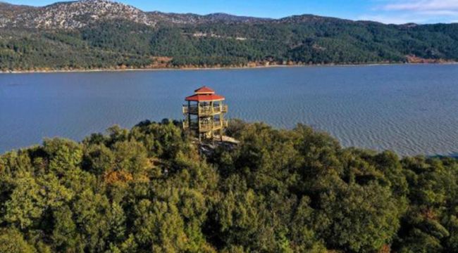 Ülke'nin dört bir yanından alevler yükseliyor