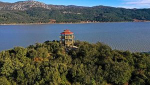 Ülke'nin dört bir yanından alevler yükseliyor