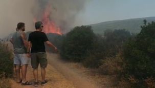 Urla'da yangın korkuttu 