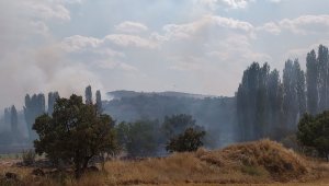 Uşak'ta yangına havadan müdahale 