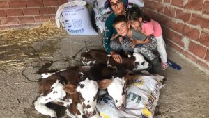 Veterineri şaşırtan doğum