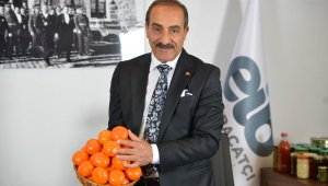 Vitamin deposu narenciyede rekolte düşüşte