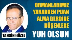 Yangında puan alma peşine düşenler