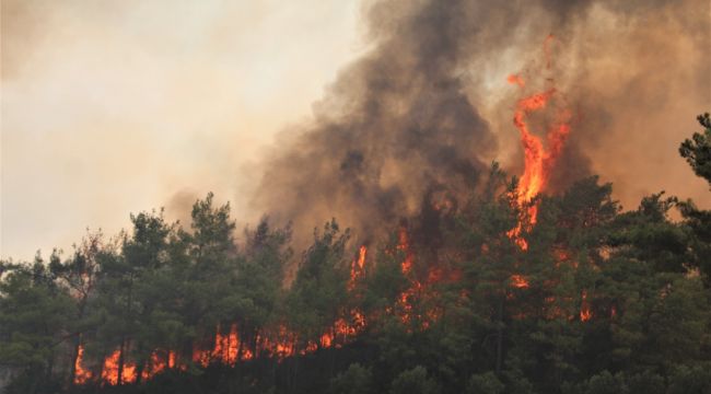 Yangınlarla mücadele eden Antalya'ya müjde, yağmur geliyor