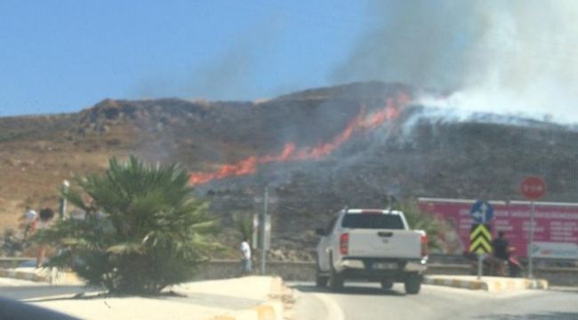 Aliağa ve Urla'da çıkan yangınlar söndürüldü