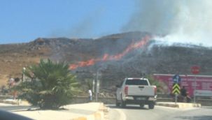 Aliağa ve Urla'da çıkan yangınlar söndürüldü