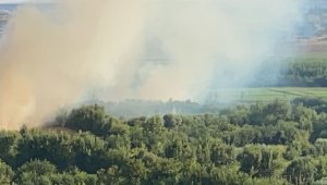 Anız yakarken dünya mirasını yakacaklardı 