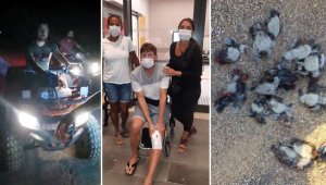 ATV'lerle caretta caretta yavrularını ezdiler