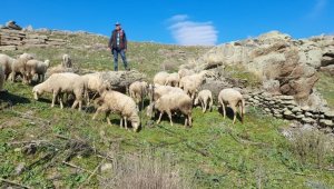 Aydın'da eski hükümlüler patron oldu