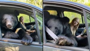 Ayıyla yolculuk yapan kadın şaşırttı