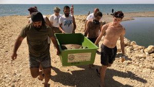 Belek'te kurtarılan Caretta'lar tedaviye alındı