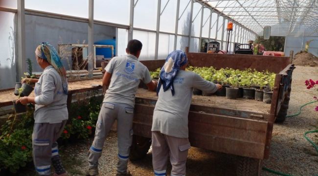 Bodrum'u güzelleştirmek için kendileri yetiştiriyor