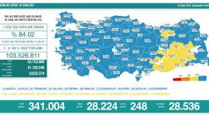 Bugün koronadan 248 kişi hayatını kaybetti