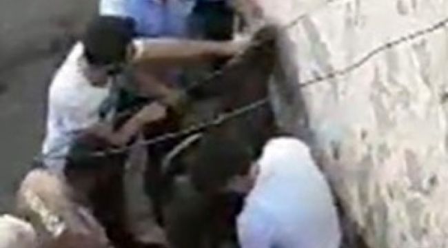 Çarşaflı erkek hırsız damda uyuyakaldı