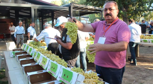 Çiftçiler, tezgahtaki üzümleriyle yarıştı