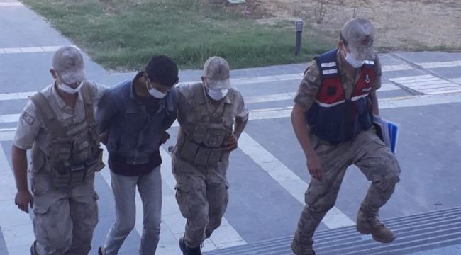 Delilleri yok etmeye çalışırken yakalandı