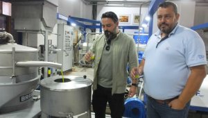 Edremit Körfezinde erken hasat zeytinyağlarında yüksek kalite