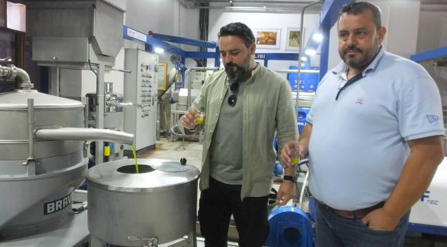 Edremit Körfezinde erken hasat zeytinyağlarında yüksek kalite