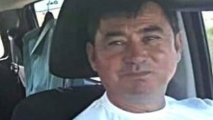 Edremit'te dehşet: Sahibini öldürdüler, büyükbaş hayvanları da vurdular