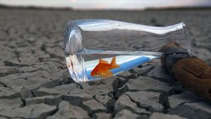 Ege için tehlike! Genel sıcaklık 4-6 derece artacak