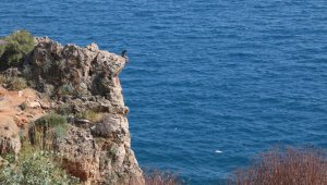 Falezlerde korkutan anlar