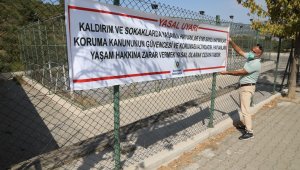Gaziemir Belediyesi, sokak hayvanları için afişler astı