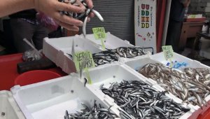 Hamsi sezonu erken mi bitecek?