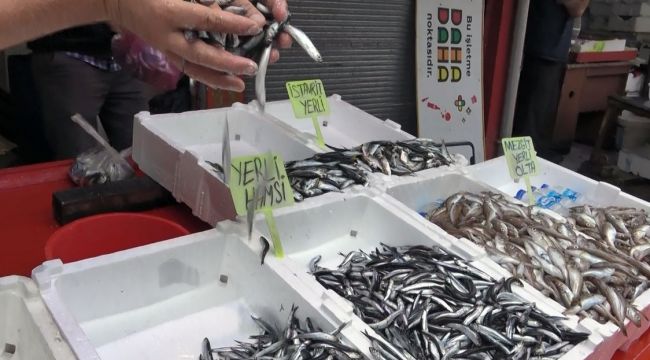 Hamsi sezonu erken mi bitecek?