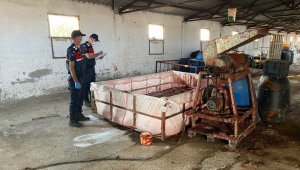 Hayvan damında salça ürettiler