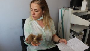 Hemşirenin saçlarını yolan saldırgan serbest!