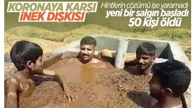 Hindistan'da dang humması yayılıyor
