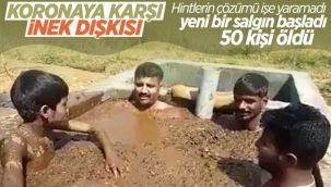 Hindistan'da dang humması yayılıyor