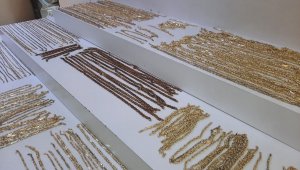 İkiz kardeşiyle 2.2 milyon liralık altın çaldı: O anlar kamerada