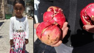 Yediği nardan öldü, Adli Tıp zehir tespit etti