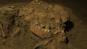 İlk antik insan DNA'sı