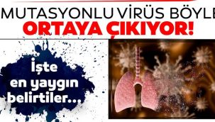 İşte koronavirüsün 5 yeni belirtisi