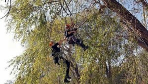 İzmir depreminden etkilenip İZMAK'ı kurdular
